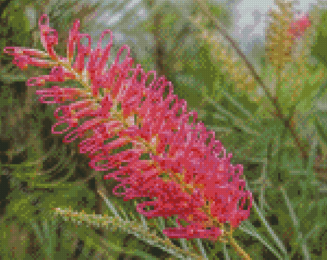 Grevillea Spider Flower Diamond Paintings