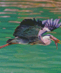 Heron With Fish Diamond Paintings