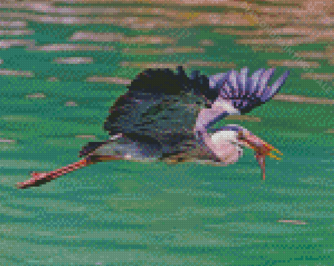 Heron With Fish Diamond Paintings