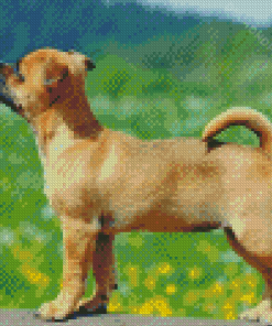 Jug Dog Diamond Paintings