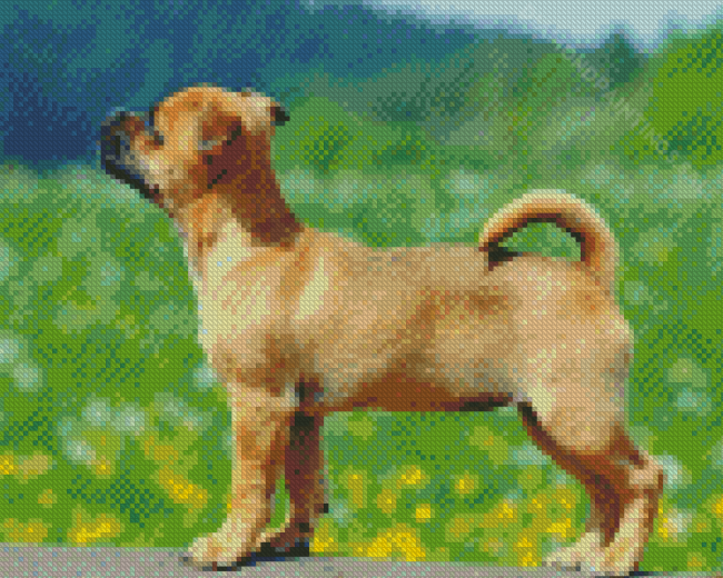 Jug Dog Diamond Paintings