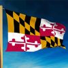 Maryland State Flying Flag Diamond Painting