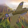 P 40 Warhawk Diamond Painting