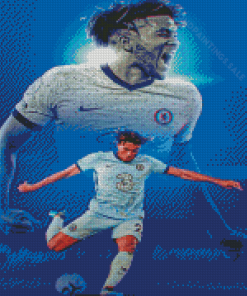 Reece James Professional Footballer Diamond Paintings