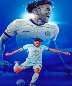 Reece James Professional Footballer Diamond Painting