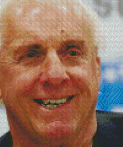 Ric Flair American Wrestler Diamond Paintings