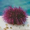 Sea Urchin Diamond Paintings