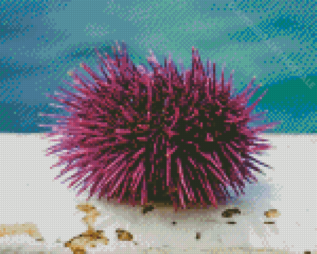 Sea Urchin Diamond Paintings