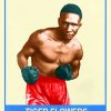 The Boxer Tiger Flowers Poster Diamond Painting