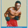 The Boxer Tiger Flowers Poster Diamond Paintings