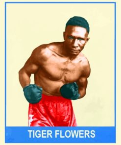 The Boxer Tiger Flowers Poster Diamond Painting
