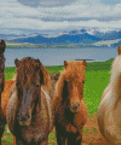 The Icelandic Horses Diamond Paintings