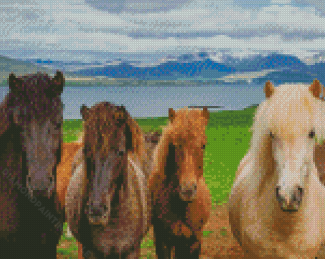 The Icelandic Horses Diamond Paintings