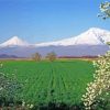 The Volcano Mount Ararat Landscape Diamond Painting