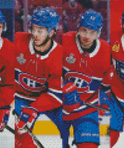 The Canadiens Montreal Players Diamond Painting