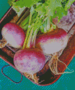 Turnip Vegetable Diamond Paintings