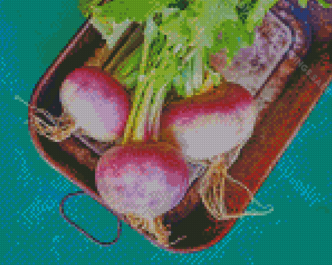 Turnip Vegetable Diamond Paintings