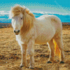 White Icelandic Pony Diamond Paintings