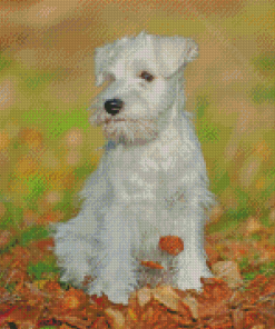White Miniature Schnauzer Dog Diamond Paintings