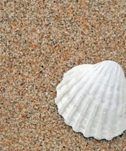 White Shell On Sand Diamond Painting