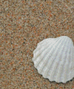 White Shell On Sand Diamond Paintings