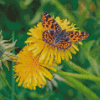 Yellow Dandelion And Butterfly Diamond Paintings