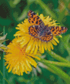 Yellow Dandelion And Butterfly Diamond Paintings