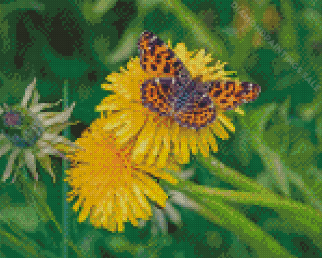 Yellow Dandelion And Butterfly Diamond Paintings