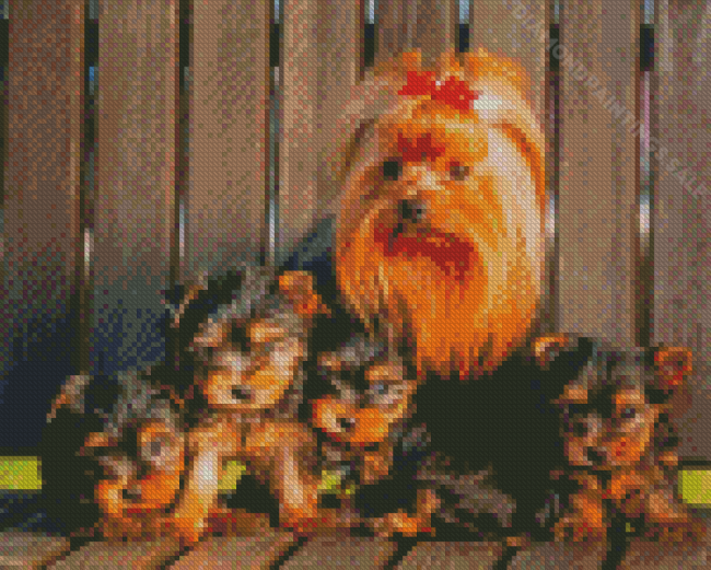 Yorkshire Terrier Puppies Diamond Paintings