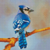 Blue Jay Bird Diamond Paintings