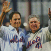 Aesthetic Tom Seaver Diamond Paintings