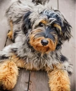 Aussiedoodle Diamond Painting