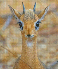 Baby Dik Dik Animal Diamond Paintings