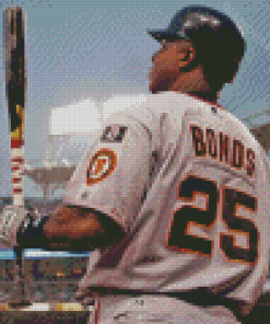 Barry Bonds Diamond Paintings