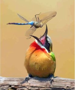 Bird With Dragonfly Diamond Painting