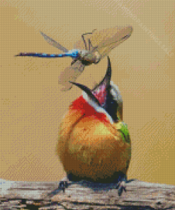 Bird With Dragonfly Diamond Paintings