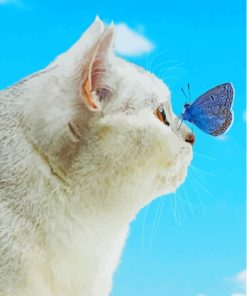 Cool Cat With Butterfly On Nose Diamond Painting