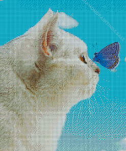 Cool Cat With Butterfly On Nose Diamond Paintings