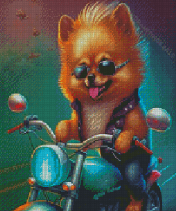 Cool Puppy Riding A Motorcycle Diamond Paintings