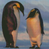 Emperor Penguin Diamond Paintings