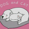 Dog And Cat Sleeping Art Diamond Paintings