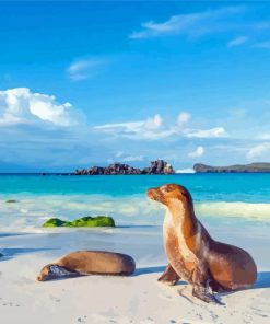 Galapagos Sea Lion Beachside Diamond Painting