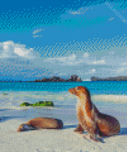 Galapagos Sea Lion Beachside Diamond Paintings