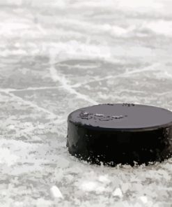 Hockey Puck On The Floor Diamond Painting