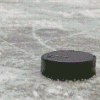 Hockey Puck On The Floor Diamond Paintings