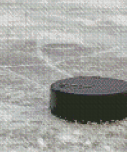 Hockey Puck On The Floor Diamond Paintings