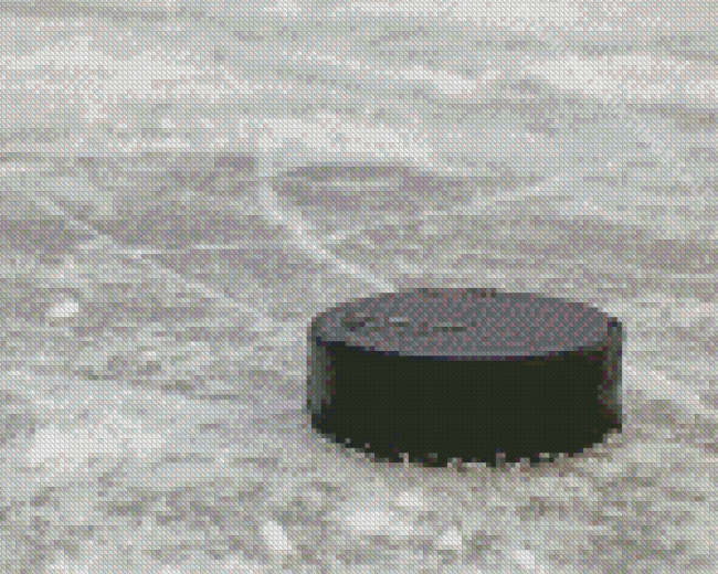 Hockey Puck On The Floor Diamond Paintings