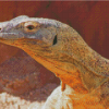 Komodo Dragon Lizard Diamond Paintings