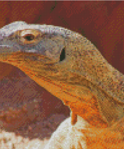 Komodo Dragon Lizard Diamond Paintings