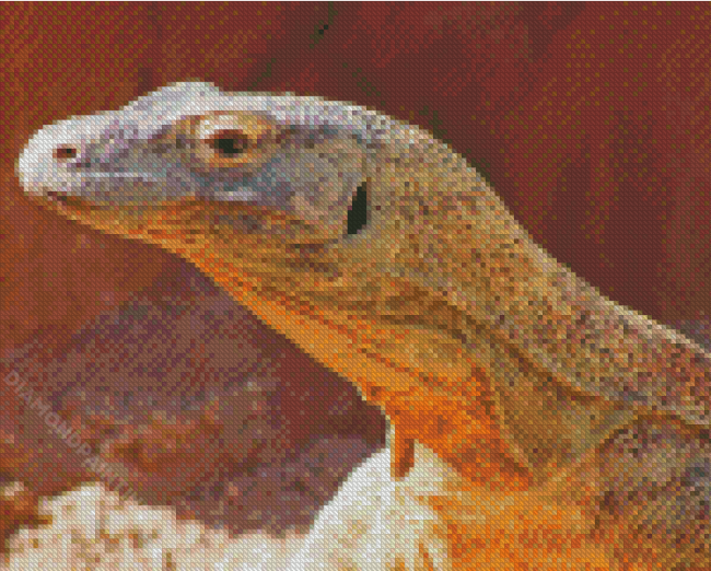 Komodo Dragon Lizard Diamond Paintings